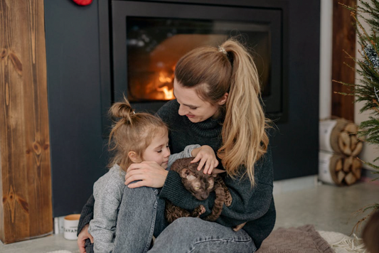 Cat Adoption Checklist - The Cat Ladies