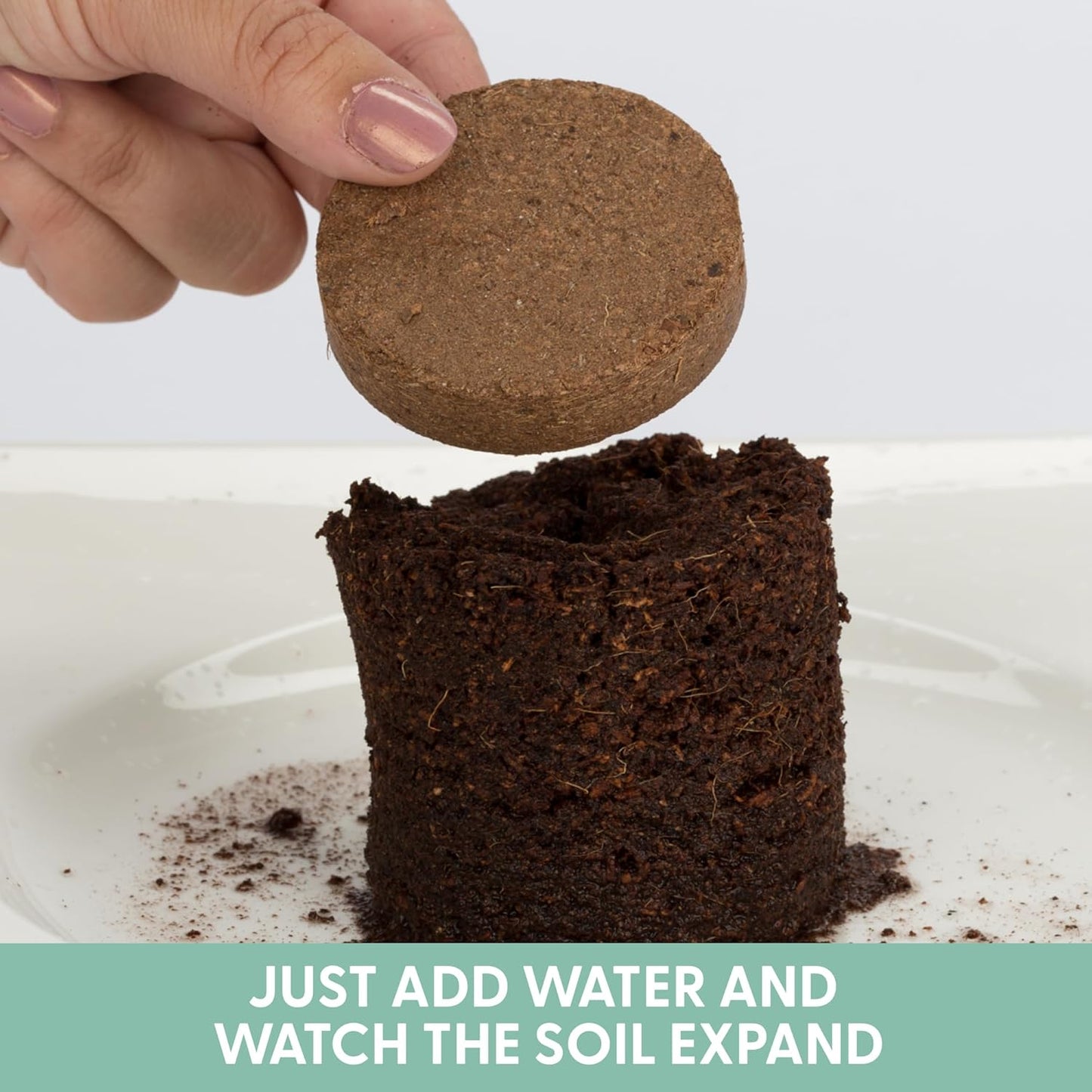 Potting Soil For Plants and Cat Grass Seeds