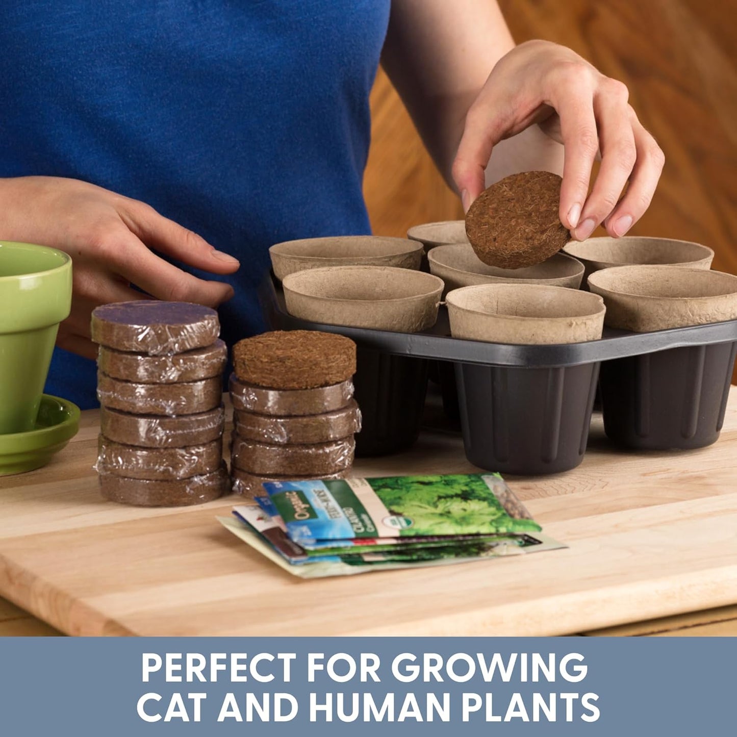 Potting Soil For Plants and Cat Grass Seeds