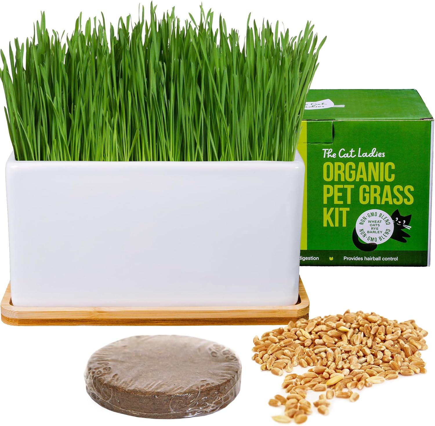 Ceramic Planter With Bamboo Tray Cat Grass Kit – The Cat Ladies