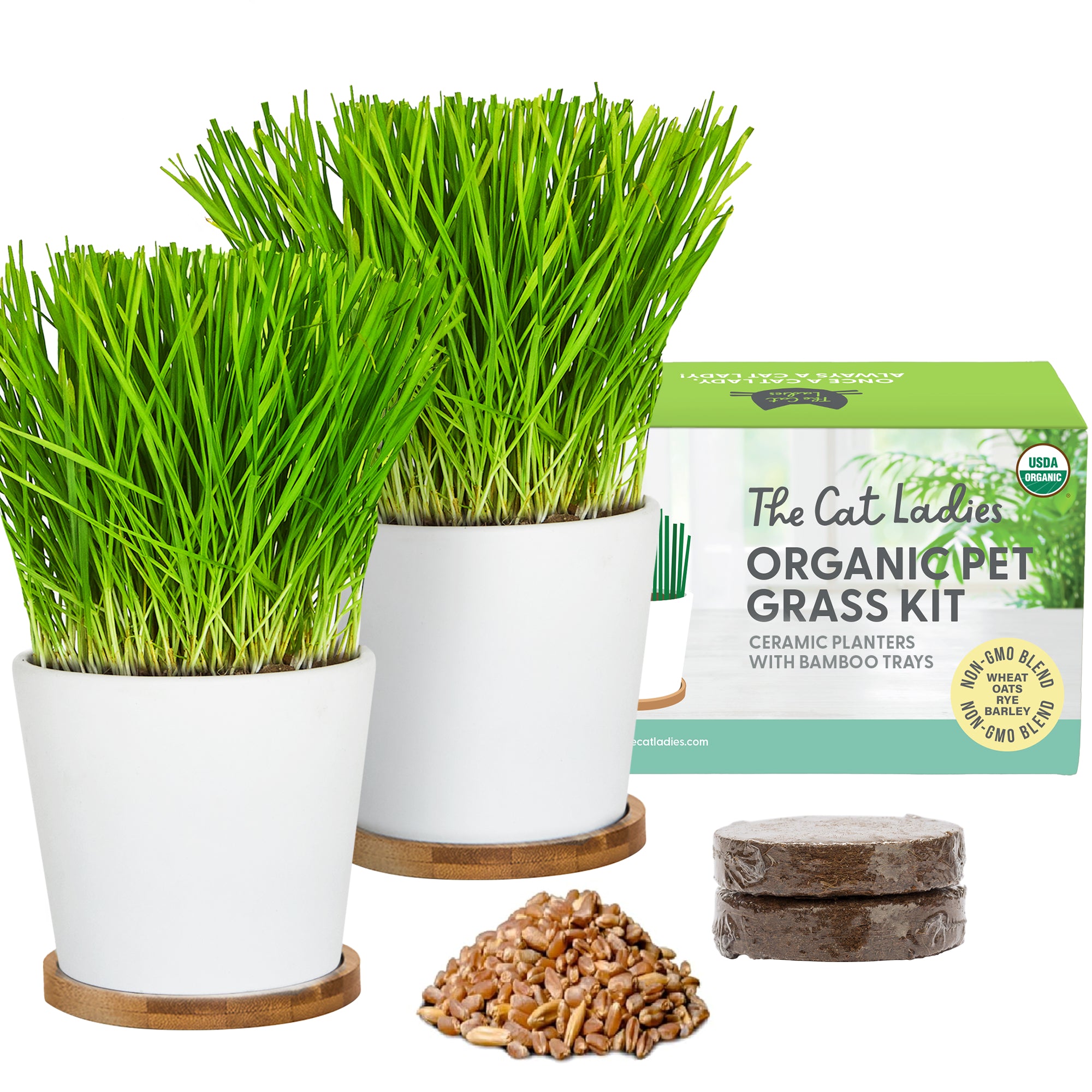 Ceramic Planter with Bamboo Tray Cat Grass Seed Kit (2-pack) – The