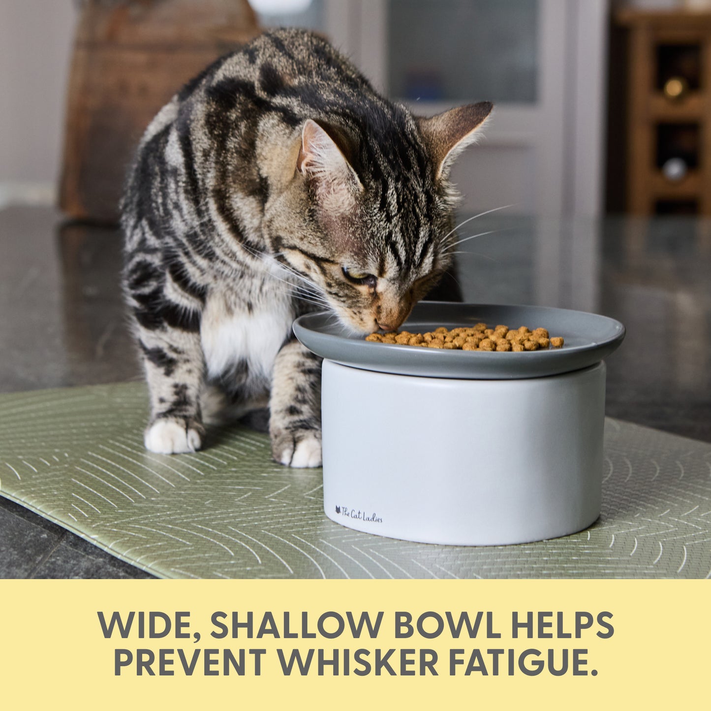 2-in-1 Cat Raised Feeder - Raised Food Dish and Bowl for Indoor Cats