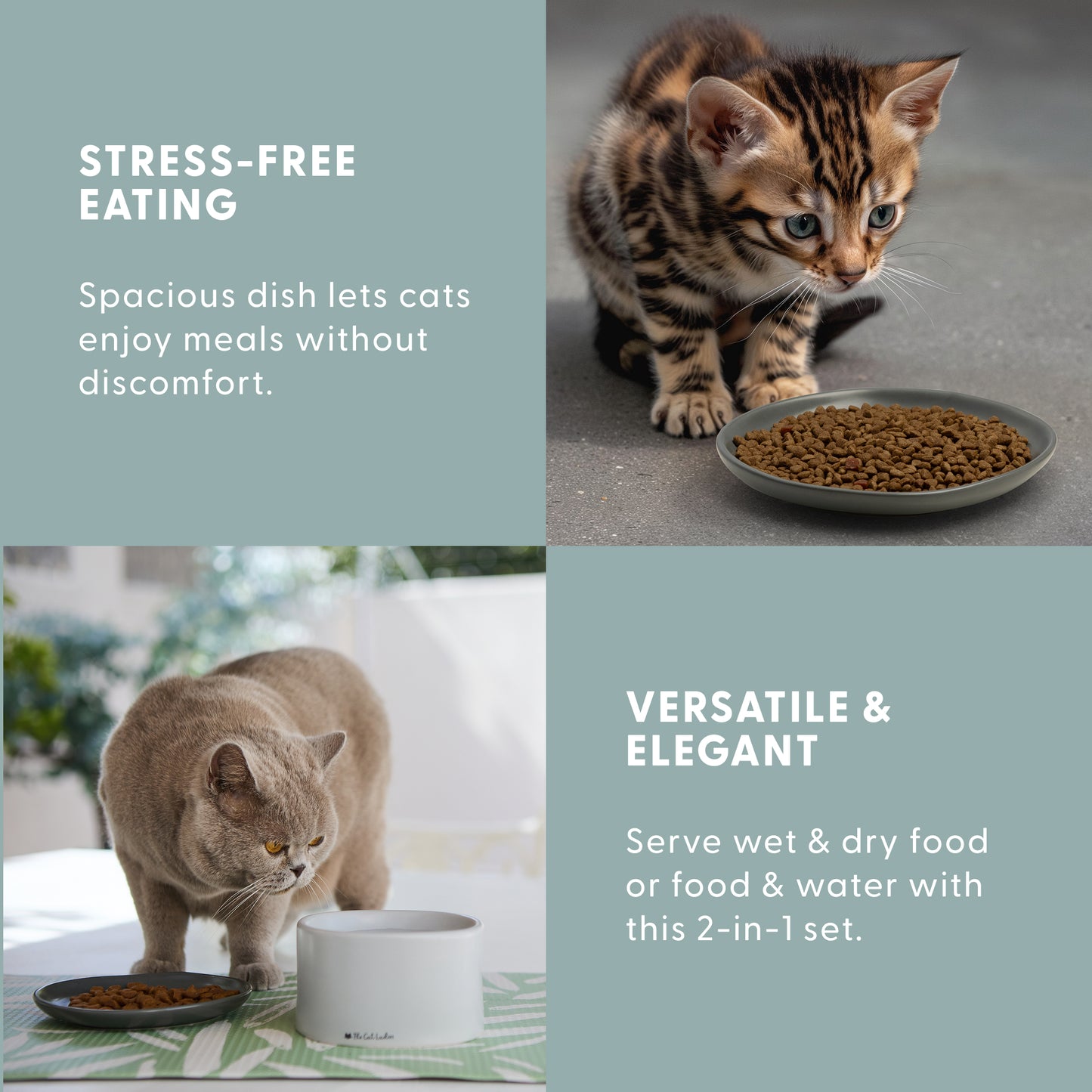 2-in-1 Cat Raised Feeder - Raised Food Dish and Bowl for Indoor Cats