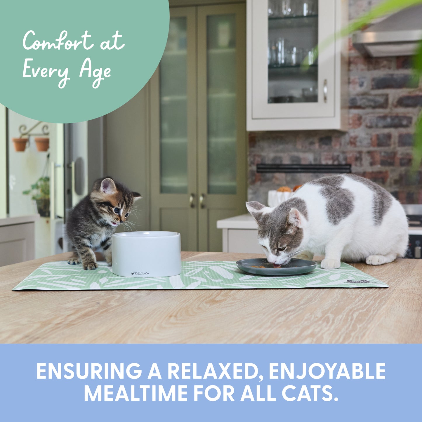 2-in-1 Cat Raised Feeder - Raised Food Dish and Bowl for Indoor Cats
