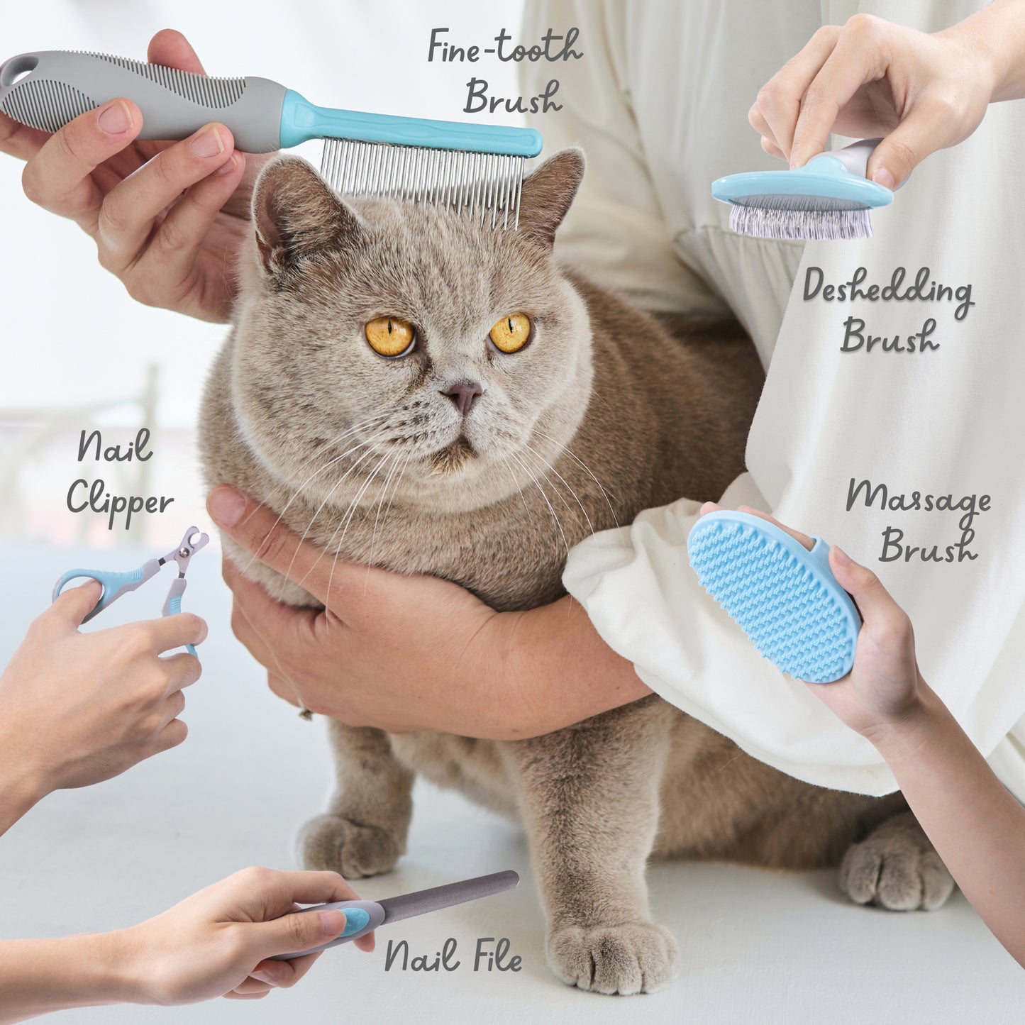 5 Piece Cat Grooming Kit