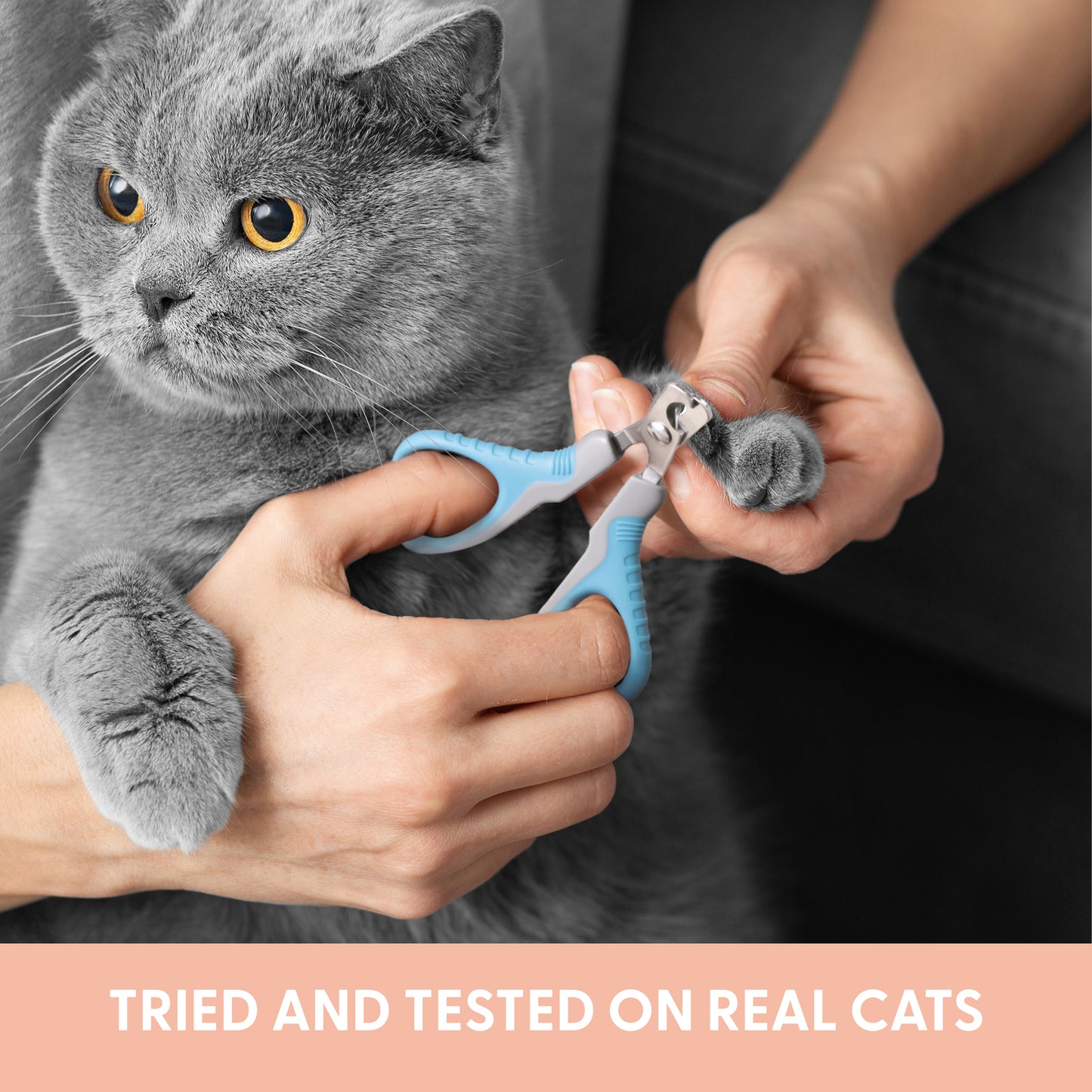 5 Piece Cat Grooming Kit