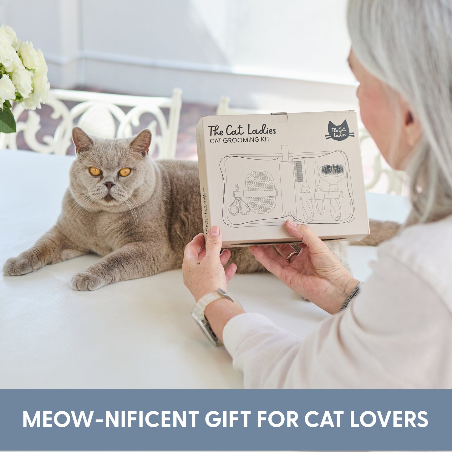 5 Piece Cat Grooming Kit