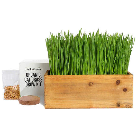 Cat Grass Growing Kit with Seeds (Organic) - Rustic Wood Planter