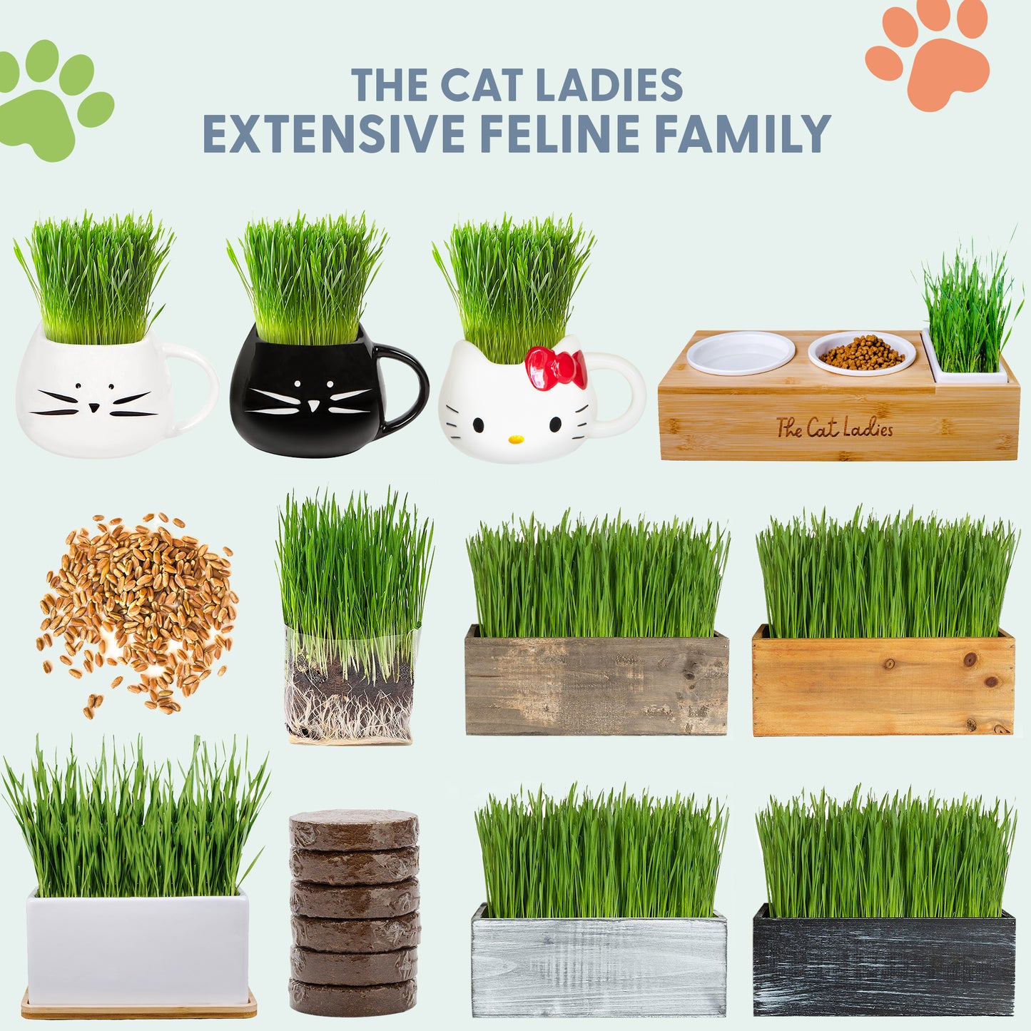 Cat Grass Growing Kit with Organic Seed - Black Cat Mug Planter