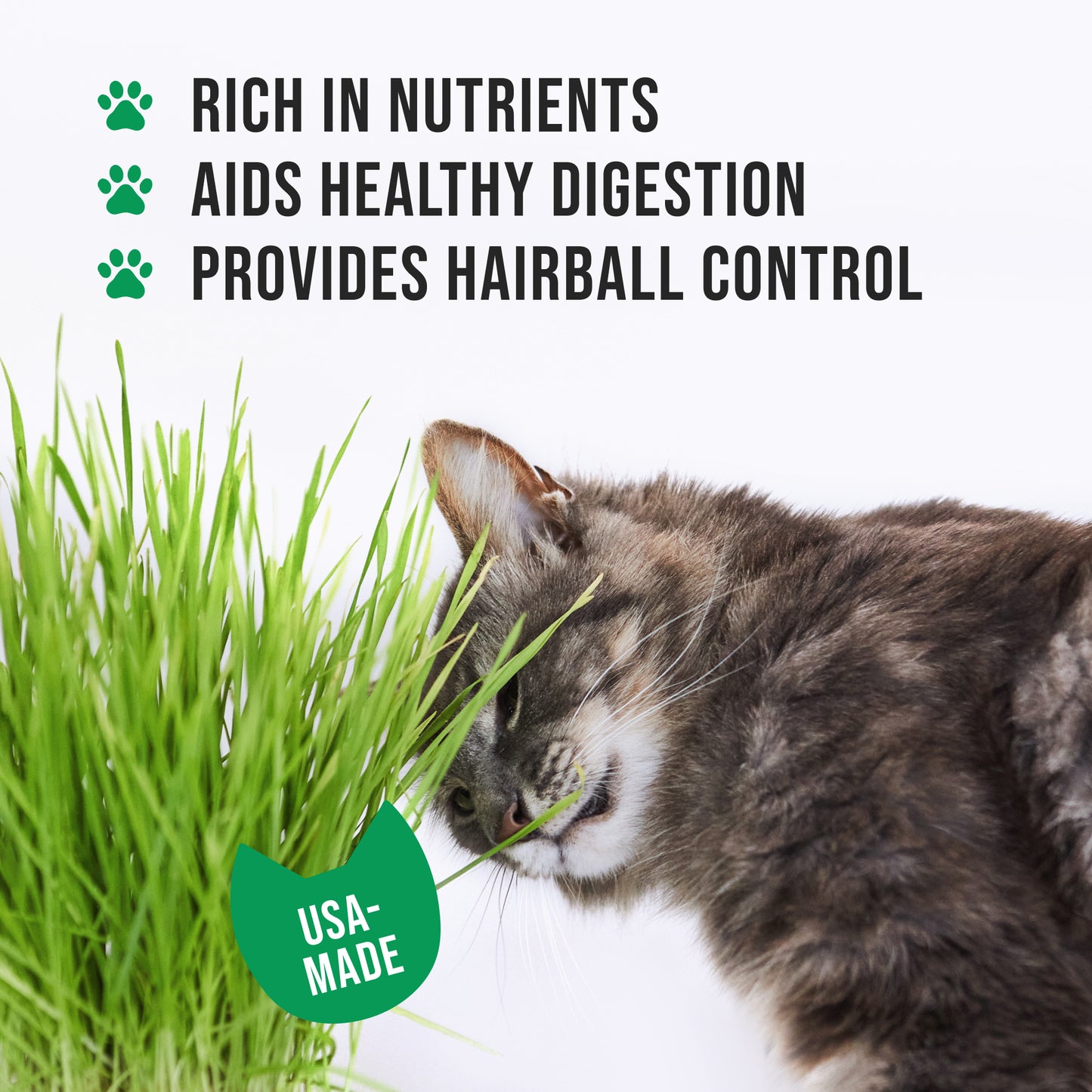 Two Pack Ceramic Planter with Bamboo Tray Cat Grass Kit