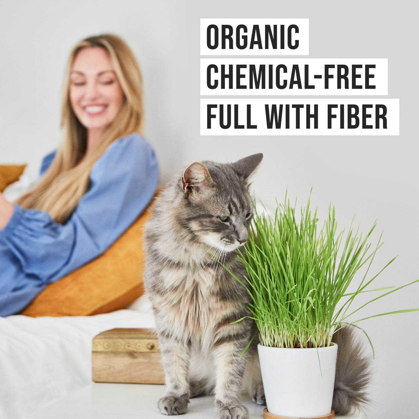 Two Pack Ceramic Planter with Bamboo Tray Cat Grass Kit
