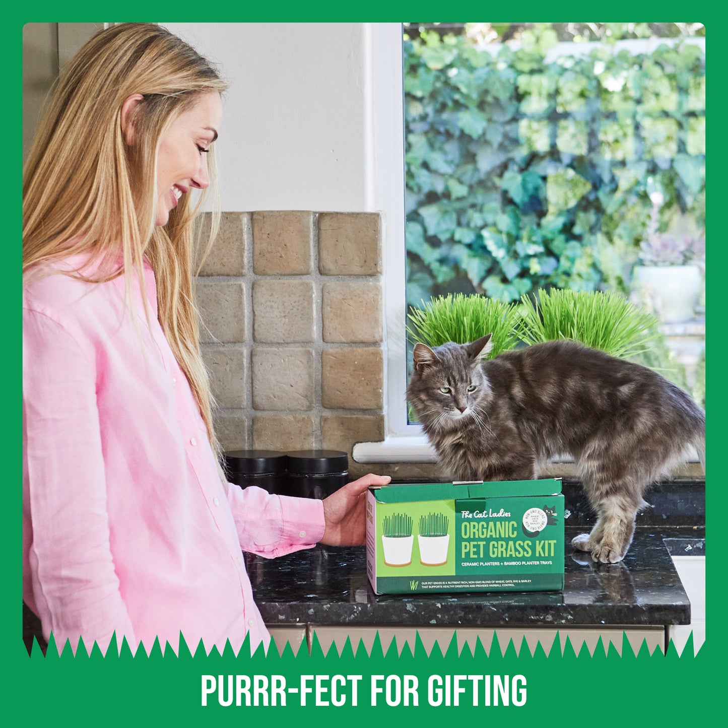 Two Pack Ceramic Planter with Bamboo Tray Cat Grass Kit
