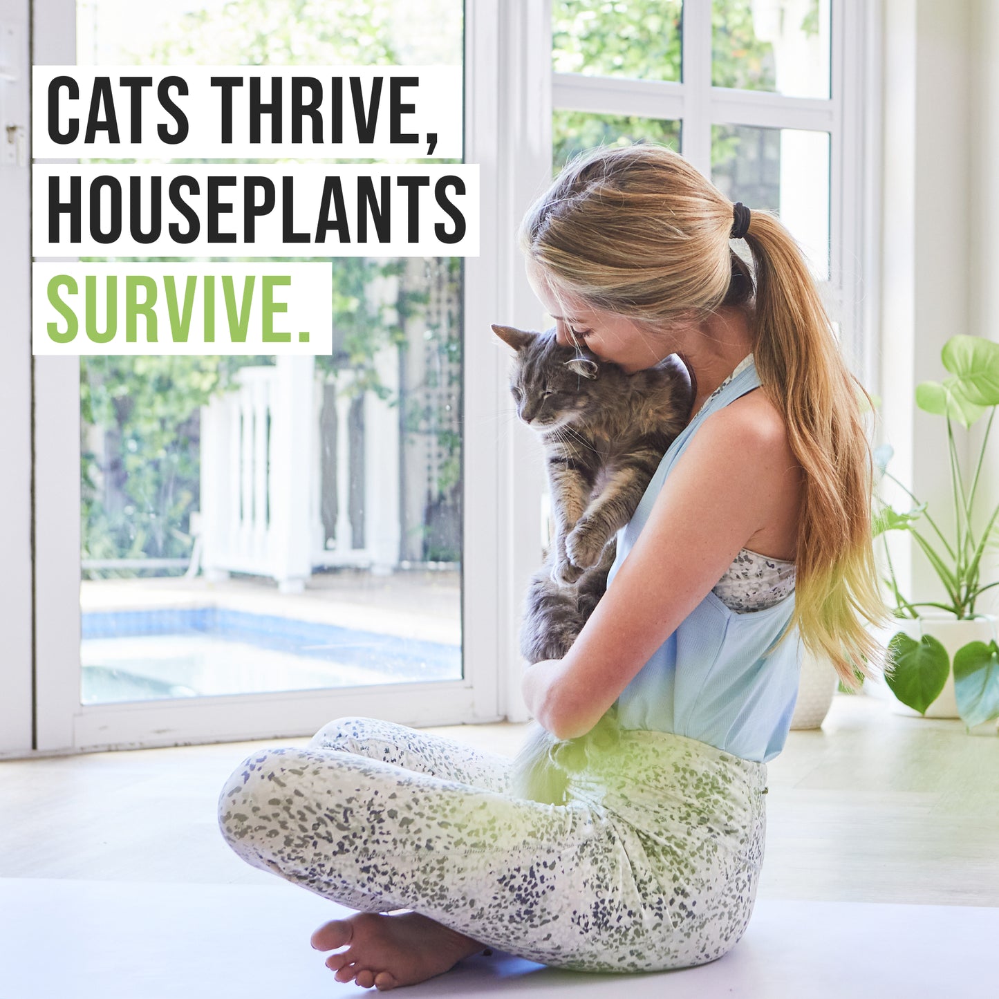 Two Pack Ceramic Planter with Bamboo Tray Cat Grass Kit
