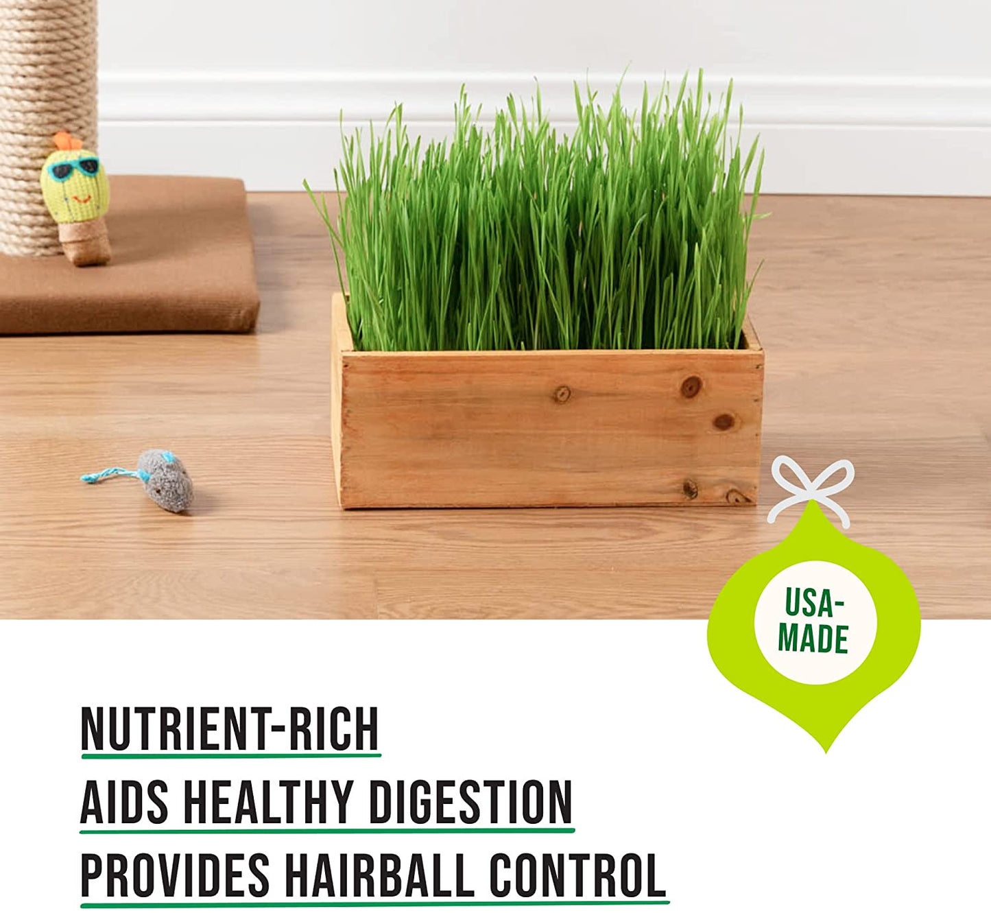Cat Grass Growing Kit with Seeds (Organic) - Rustic Wood Planter
