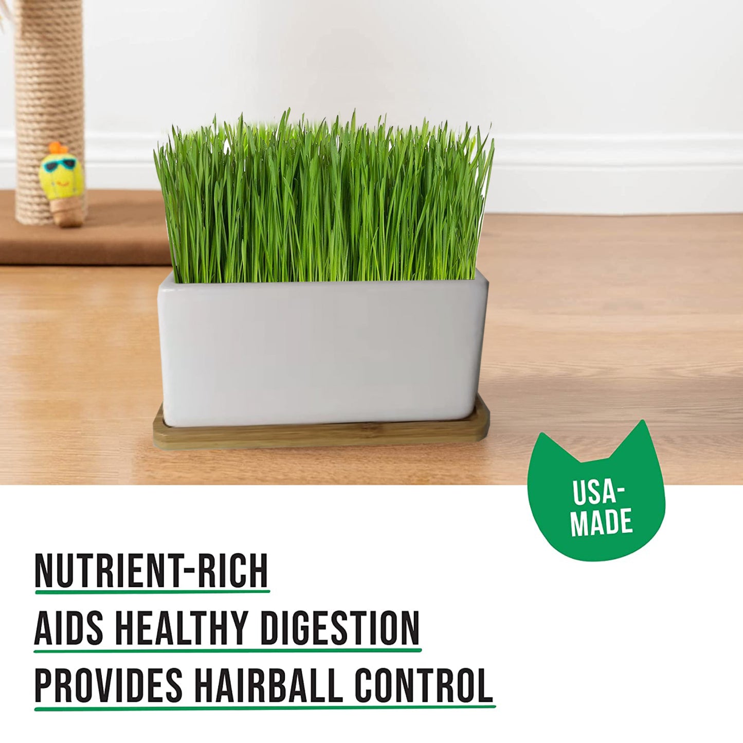 Ceramic Planter With Bamboo Tray Cat Grass Kit