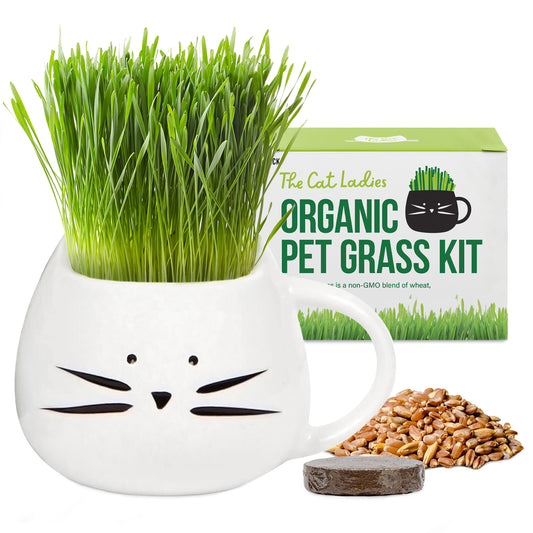 Cat Grass Growing Kit with Cat Grass Seed - White Cat Mug Planter