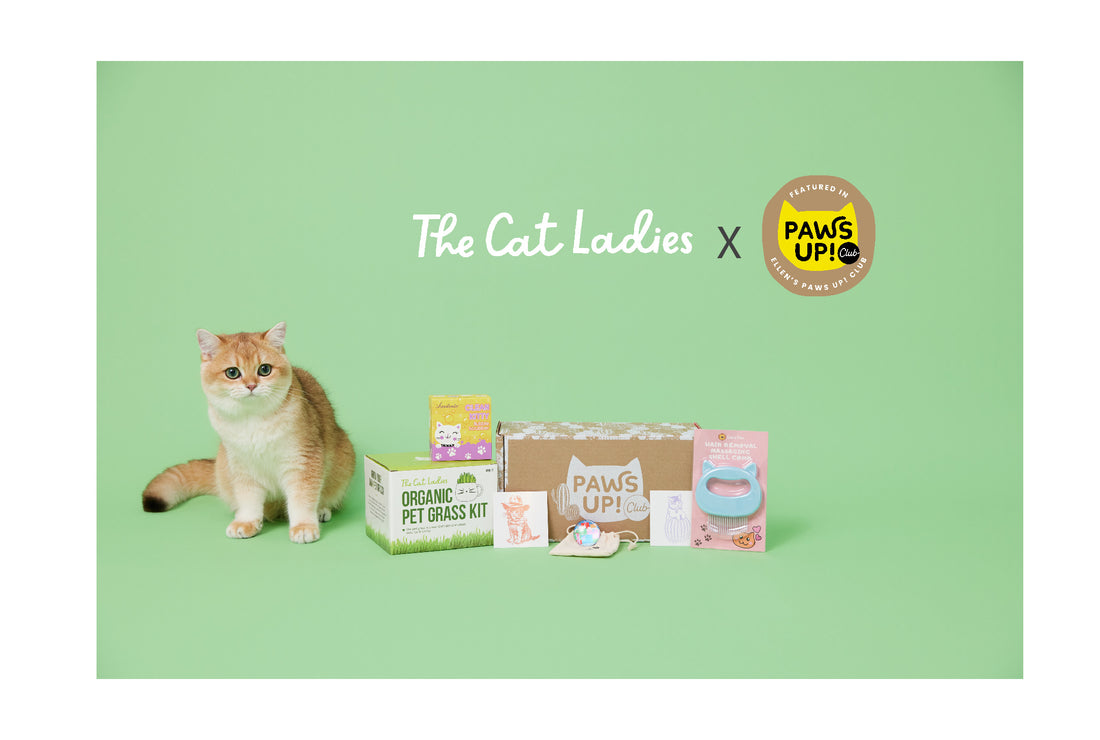 The Cat Ladies' Cat Grass Kit Joins Ellen's Paws Up Club for Happy, Healthy Cats