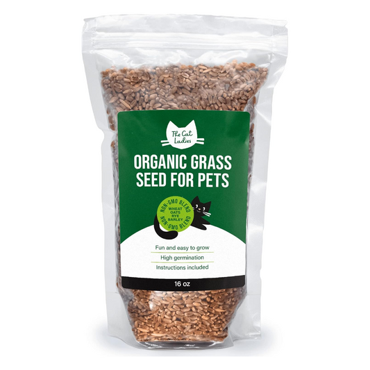 Organic Wheat Cat Grass Seeds (16 ounce)