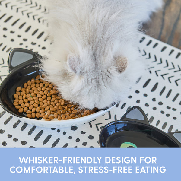 Ceramic Cat Bowl – Black and White Cat, Large