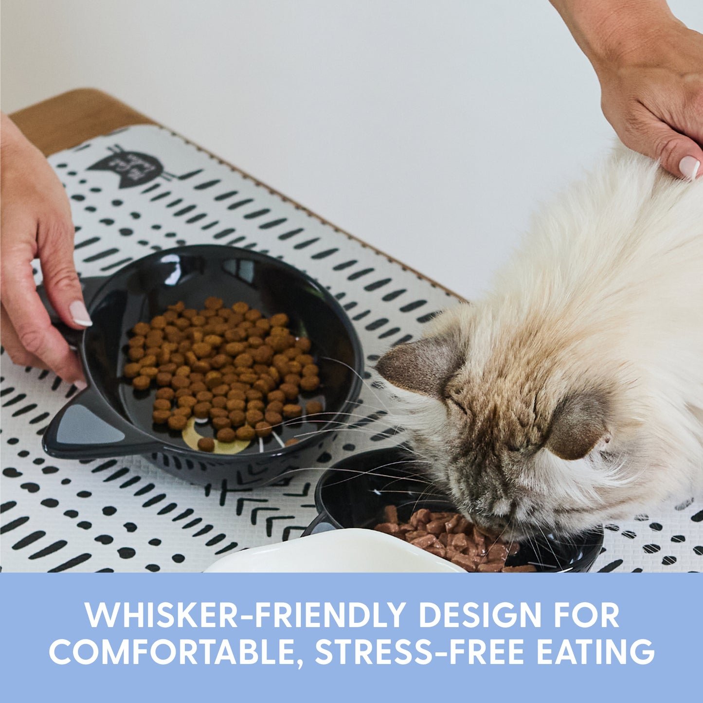 Ceramic Cat Bowls – Black Cat, Set of 2