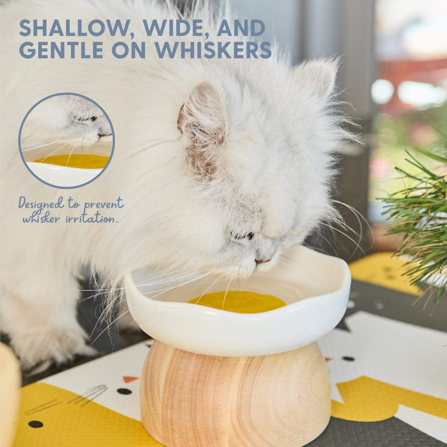 Egg Cat Bowl