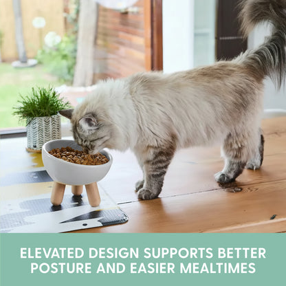 Tilted Ceramic Cat Bowl - Light Grey