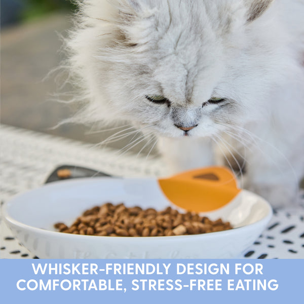 Ceramic Cat Bowls - Calico, Set of 2