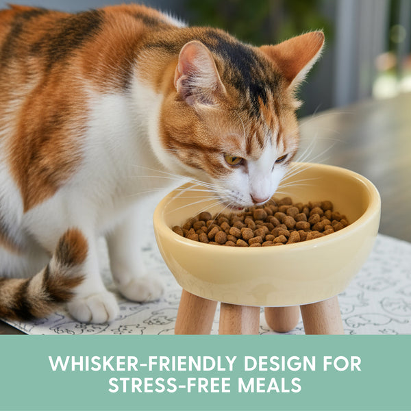 Tilted Ceramic cat Bowl - Sunshine Yellow