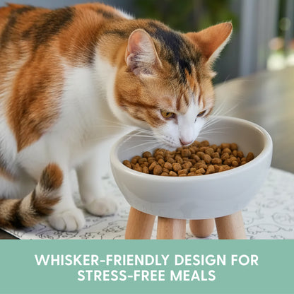 Tilted Ceramic Cat Bowl - Light Grey