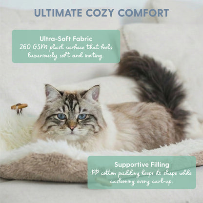 Self-Warming Heated Cat Bed Mat – Coffee Brown