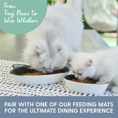 Ceramic Cat Bowls – Black and White Cat, Set of 2