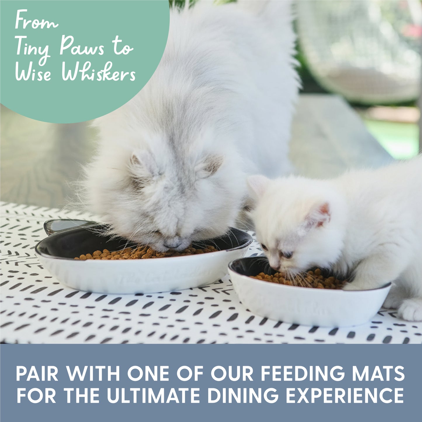 Ceramic Cat Bowl – Black and White Cat, Large