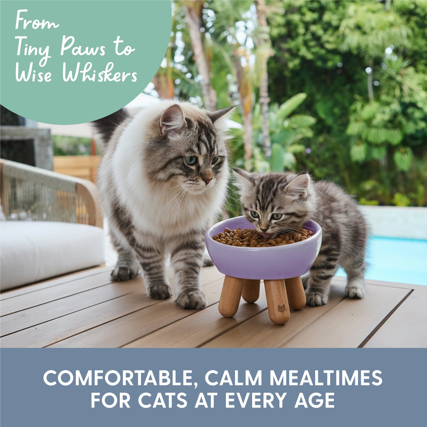 Tilted Ceramic Cat Bowl – Lilac