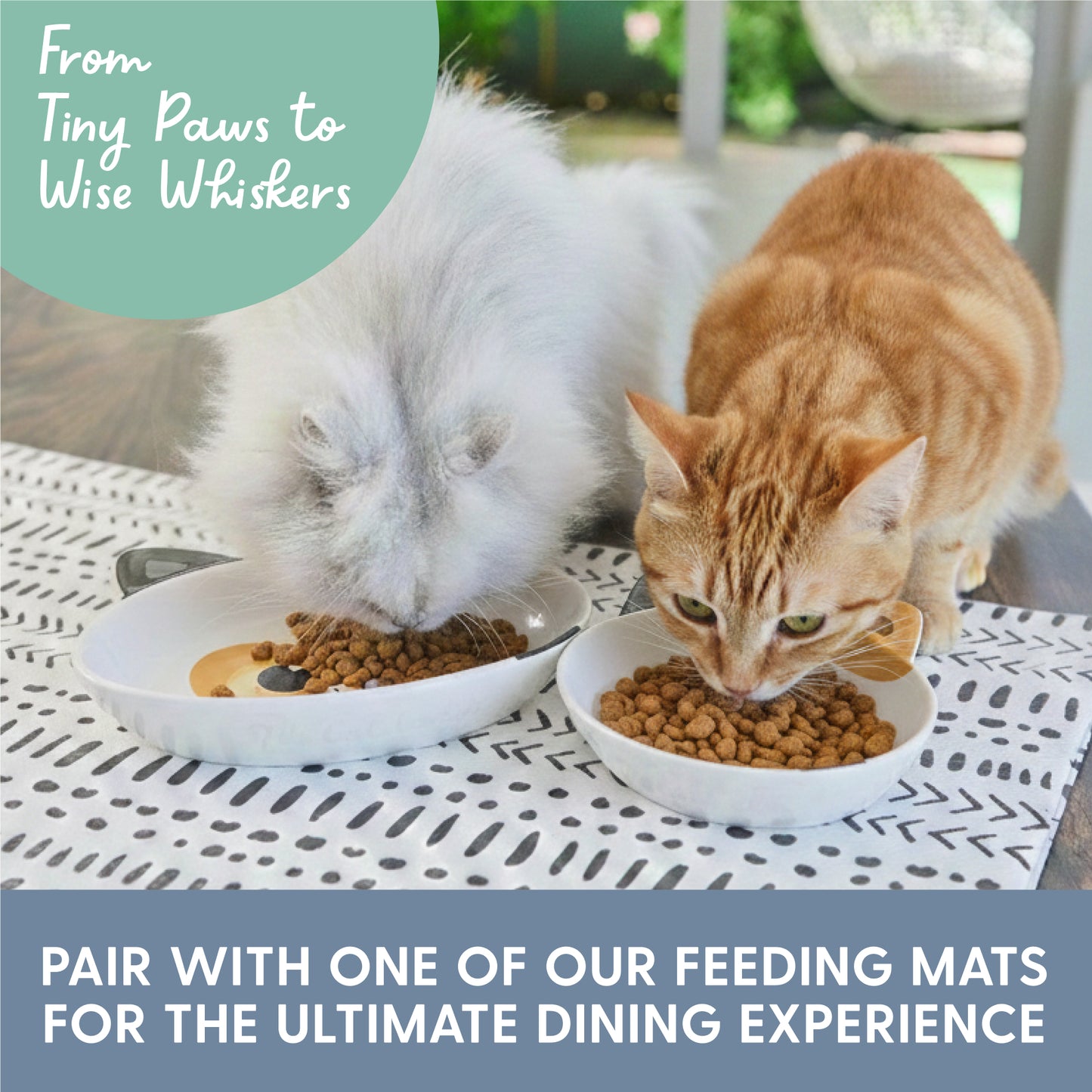 Ceramic Cat Bowl - Calico, Small