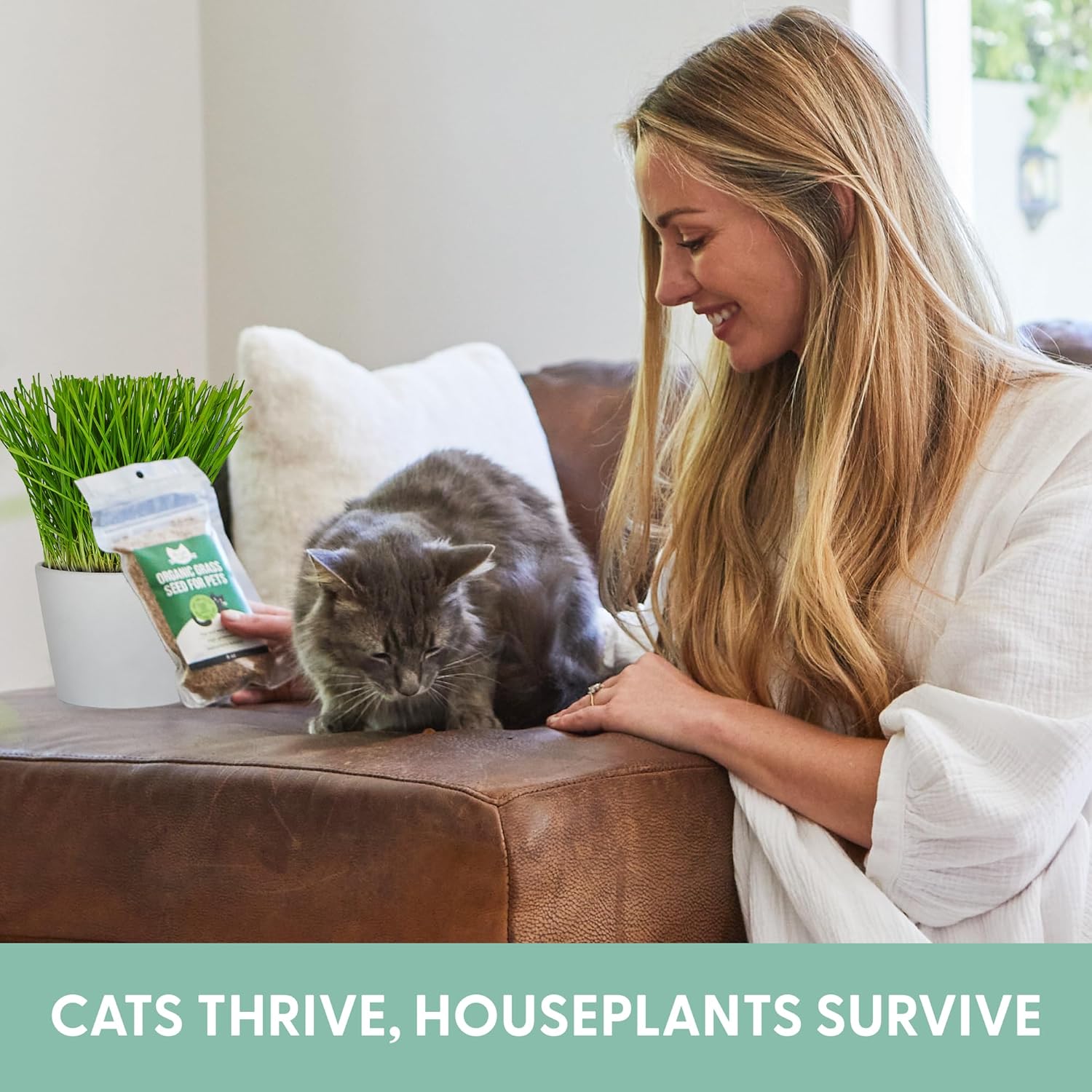 100% Organic Cat Grass Seeds (NON GMO) 8oz - The Cat Ladies