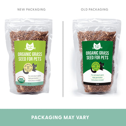 Organic Cat Grass Seeds (NON GMO) - 8 Oz