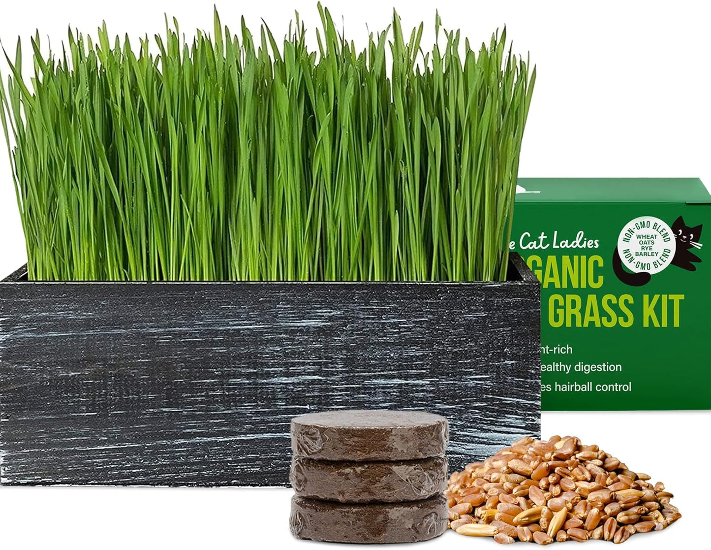 Organic Cat Grass Seed Kit with Rustic Wood Planter - Black