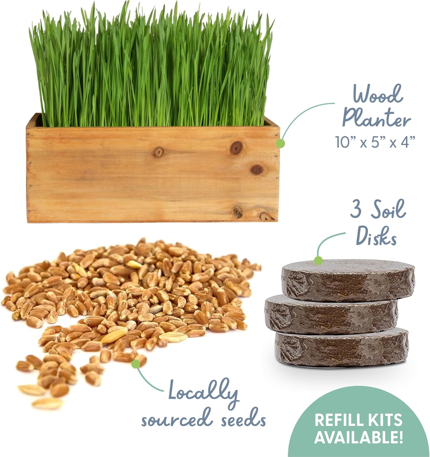 Cat Grass Growing Kit with Seeds (Organic) - Rustic Wood Planter