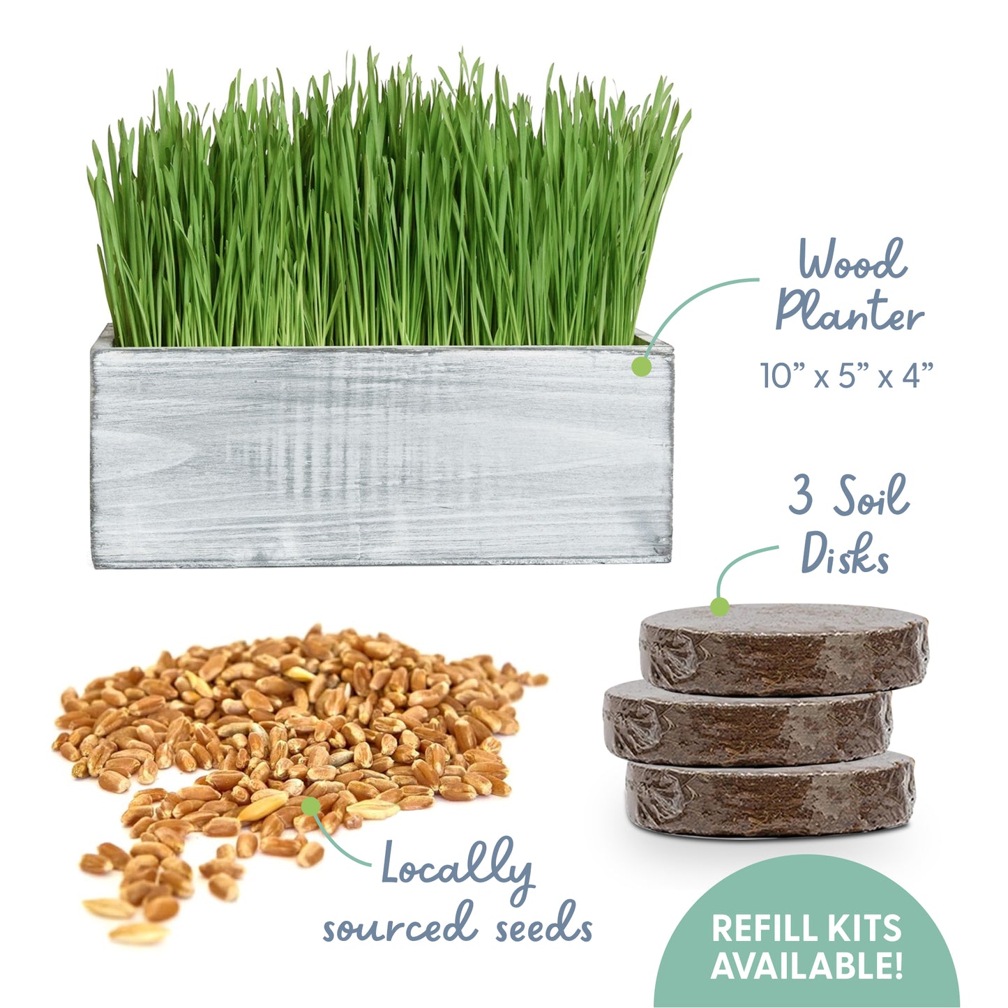 Cat Grass Seeds and Planters - White Rustic Wood Planter