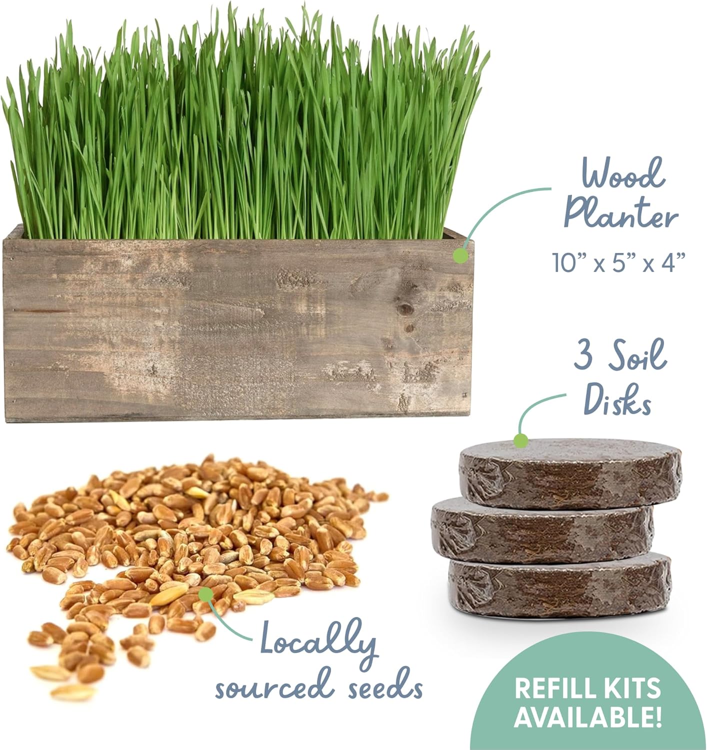 Cat Grass Kit with Organic Cat Grass Seeds - Rustic Wood Planter (Dark Brown)