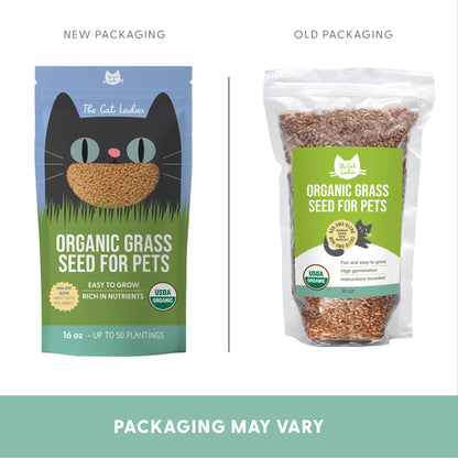 Organic Wheat Cat Grass Seeds (16 ounce)