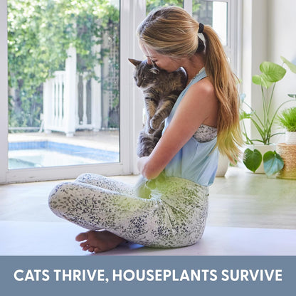 Two Pack Ceramic Planter with Bamboo Tray Cat Grass Kit