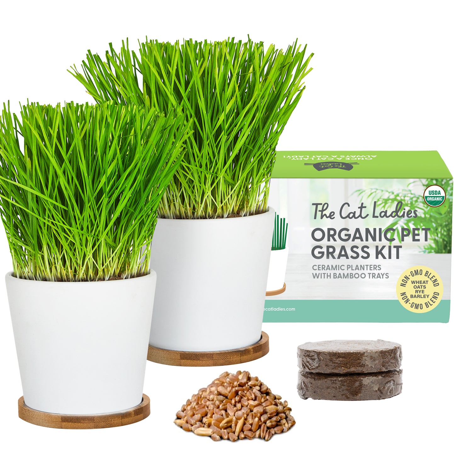 Two Pack Ceramic Planter with Bamboo Tray Cat Grass Kit