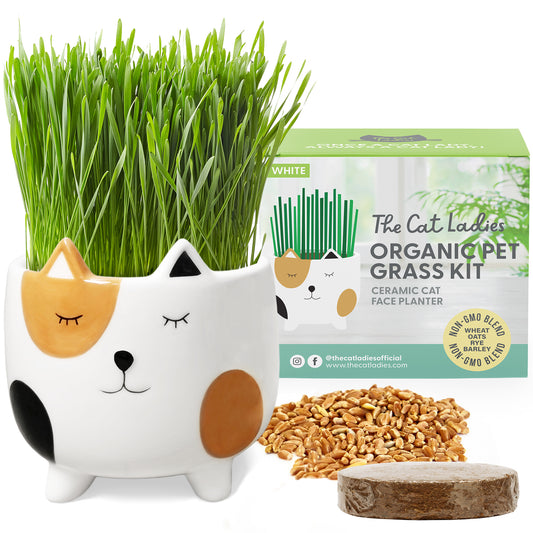 Cat Grass Growing Kit with Cat Grass Seed - Calico Cat Planter