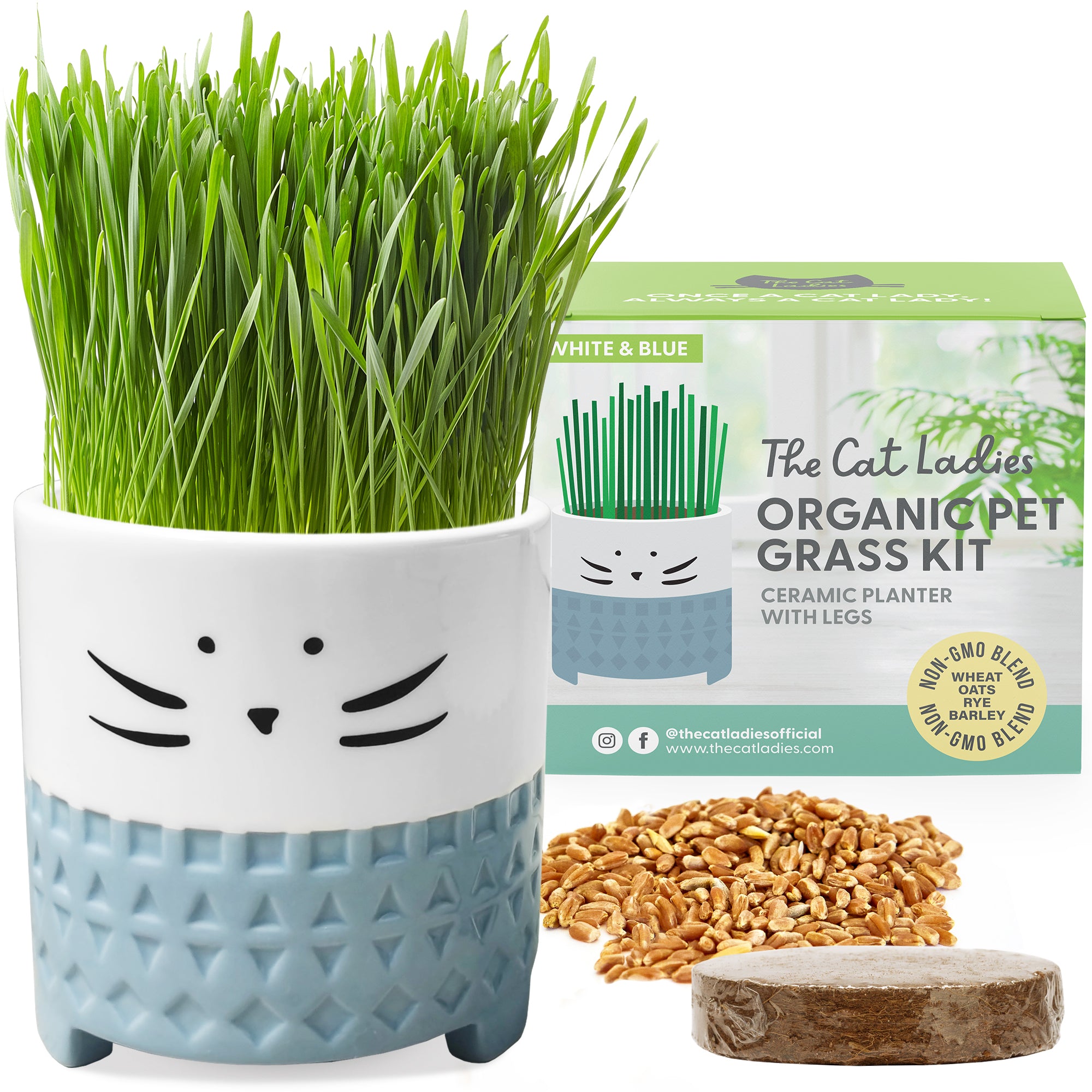 Cat Grass Growing Kit with Cat Grass Seed - Blue Cat Planter – The Cat ...