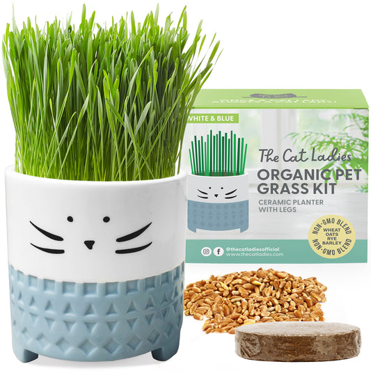 Cat Grass Growing Kit with Cat Grass Seed - Blue Cat Planter