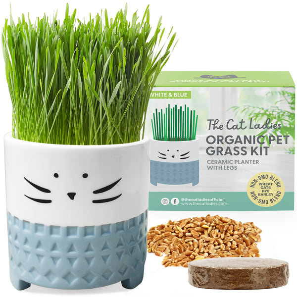 Cat Grass Growing Kit with Cat Grass Seed - Blue Cat Planter