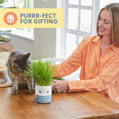 Cat Grass Growing Kit with Cat Grass Seed - Blue Cat Planter