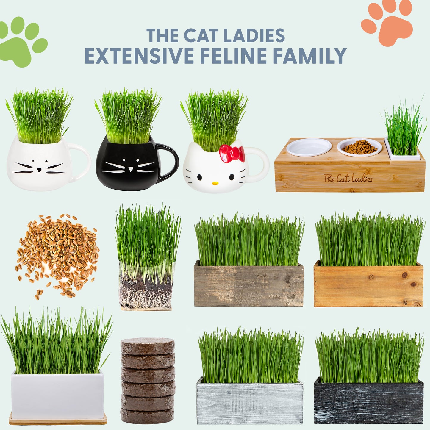 Cat Grass Growing Kit with Cat Grass Seed - Blue Cat Planter