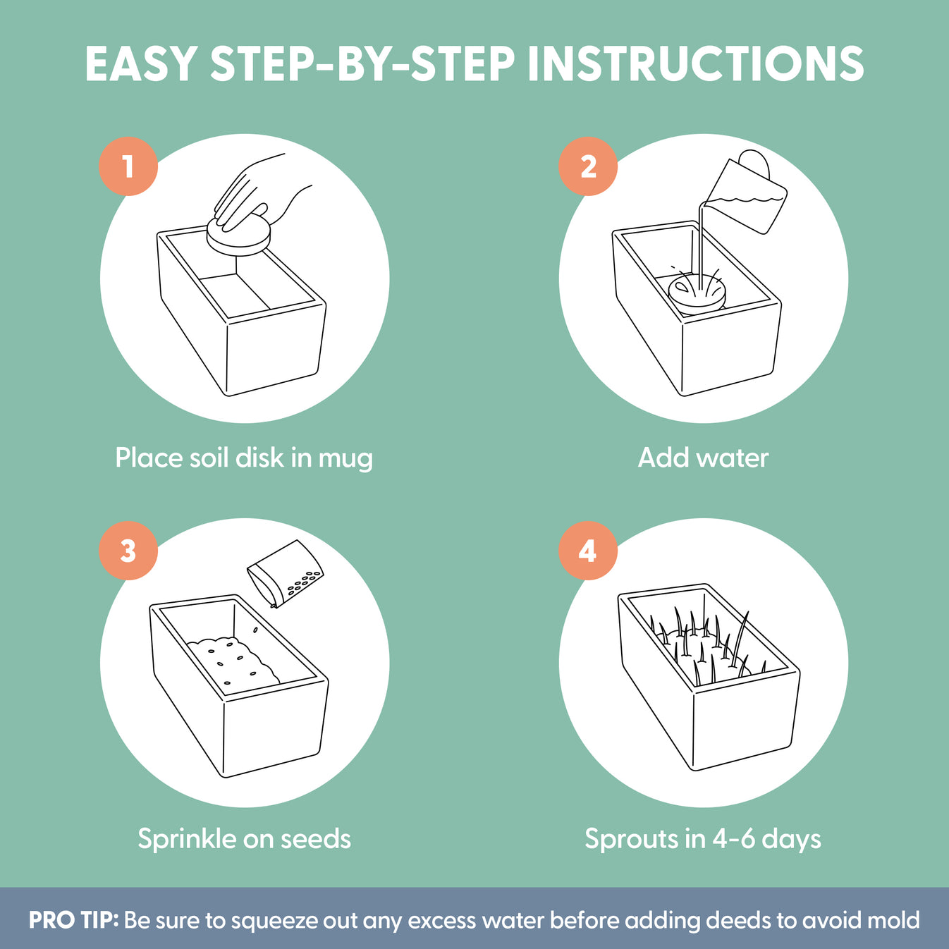 Cat Grass Growing Kit Cat Grass Seed Starter Kit (Marblelook Cerami